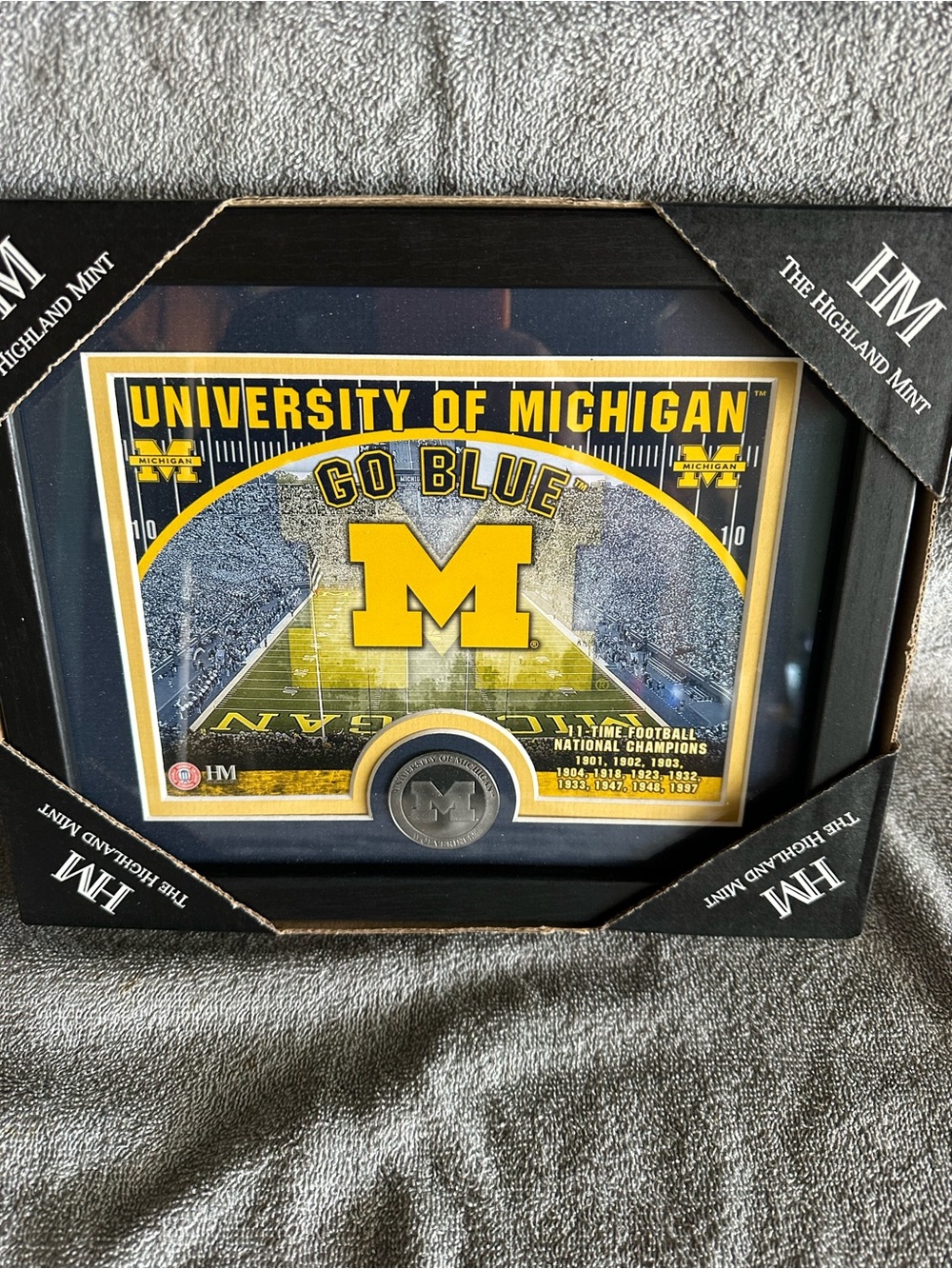 University of Michigan 'Go Blue' Framed Collectible - Yellow & Blue